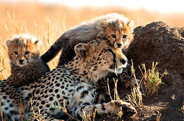 Zanzibar Beaches EXTRA VISION ADVENTURE